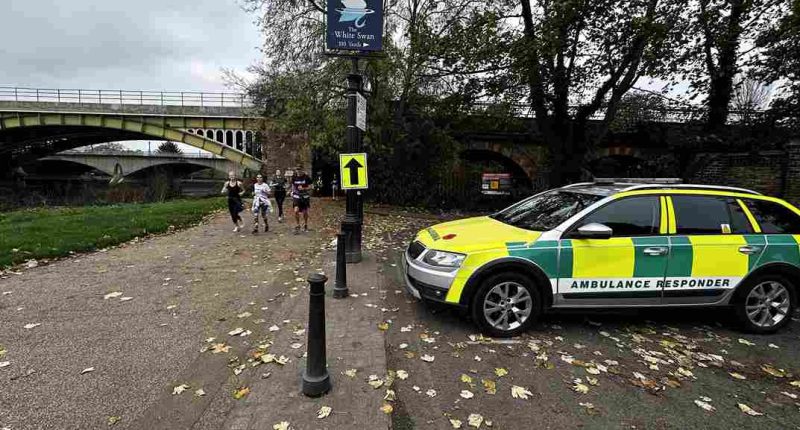 medical-service-companies